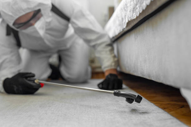 Professional Bed Bug Control technician working in Coconut Creek, FL
