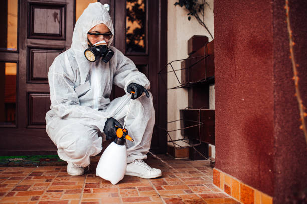 Reliable Bed Bug Control contractor in Coconut Creek, FL by Nex Pest Control